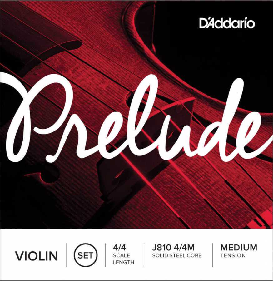 D'Addario Prelude J810 4/4M Keman Teli - 1