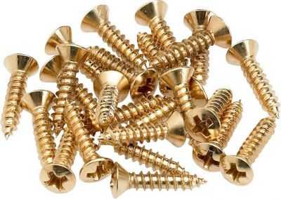 Fender Pickguard Mounting Screws Gold - 1