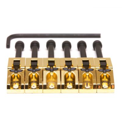 GraphTech PG-0080-G6 Floyd Rose Stil Gold Saddles - 1